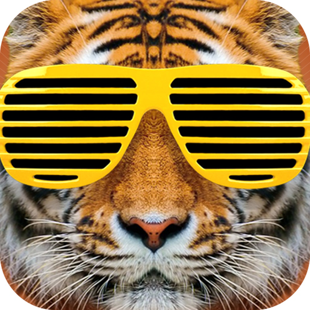 After School app icon with a photorealistic squircle design featuring a tiger with shutter shades.