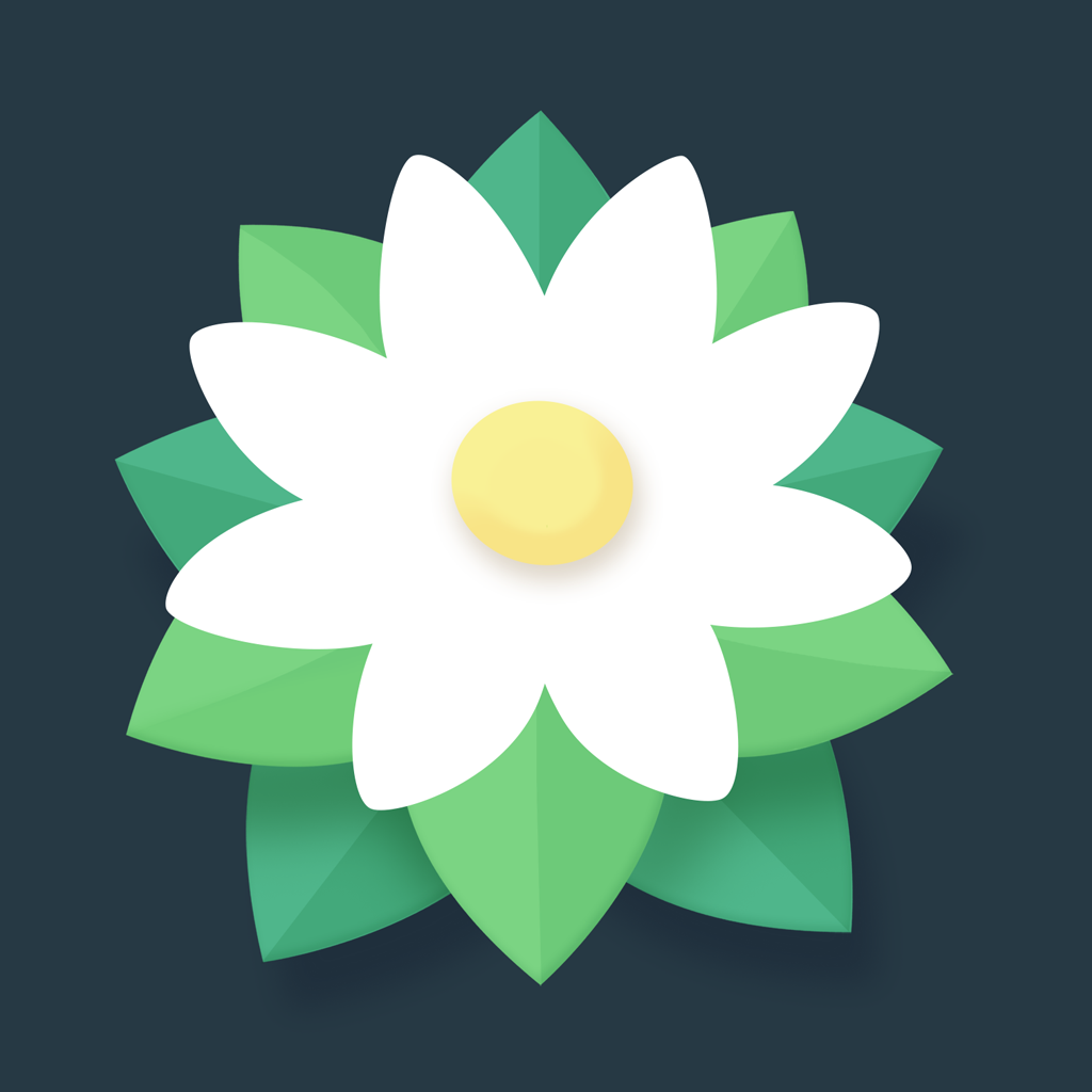 Breath of Light app icon with a green and white flat minimalist organic shape design featuring a daisy flower.