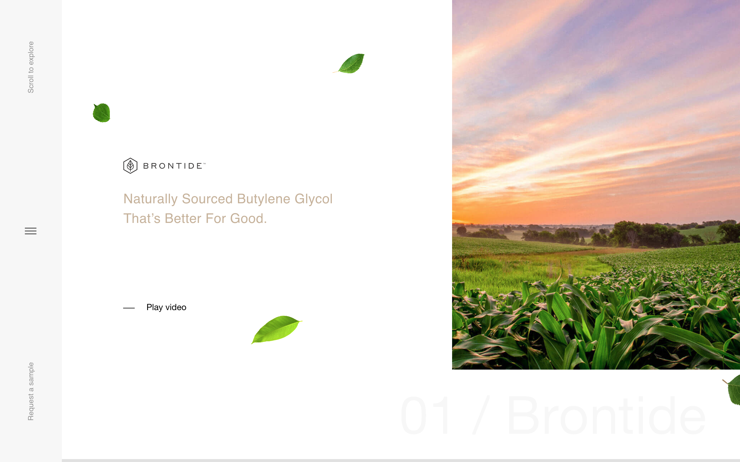 Brontide