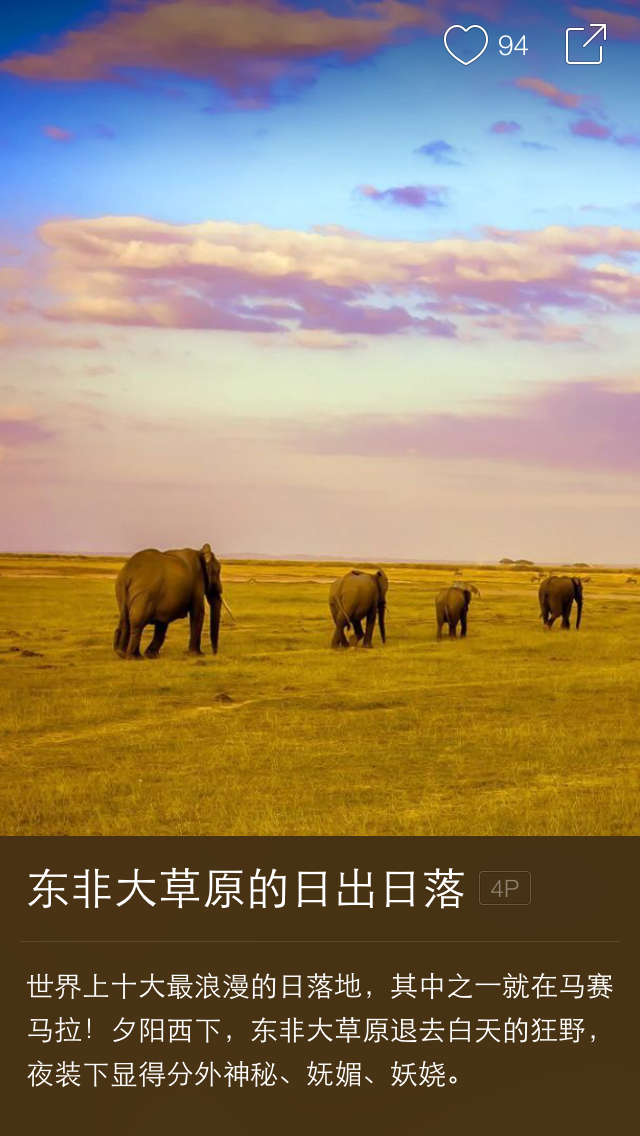 蝉游画报 ChanYouHuaBao Content