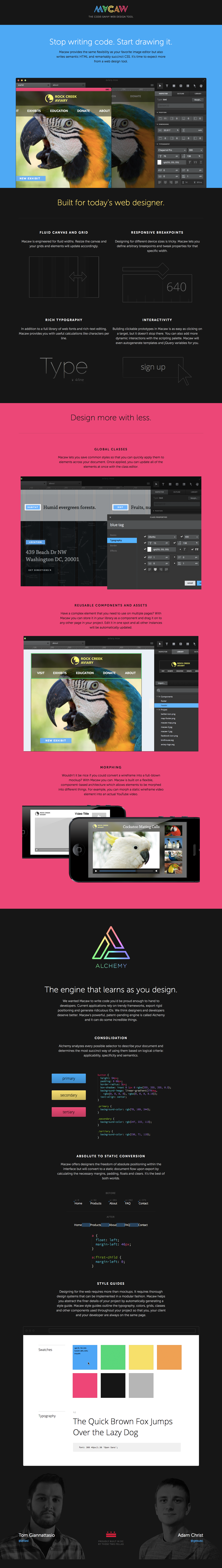Macaw