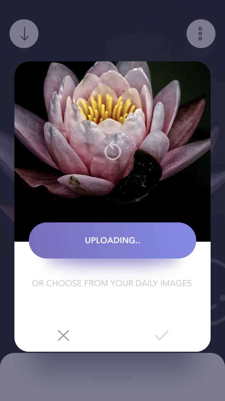 Reflectly Upload
