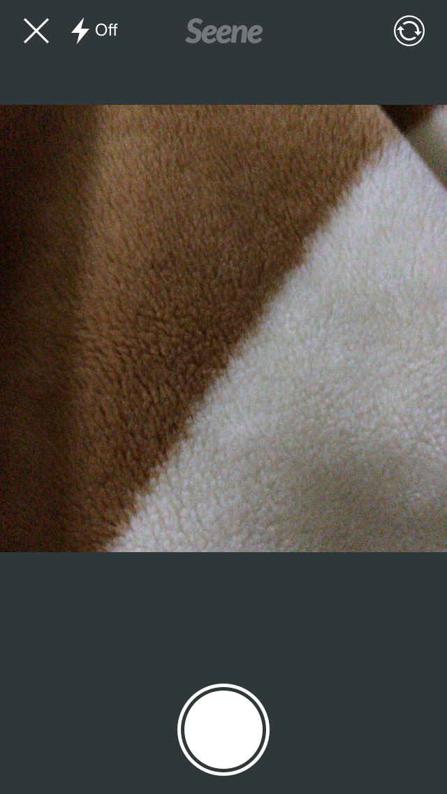 Seene Camera
