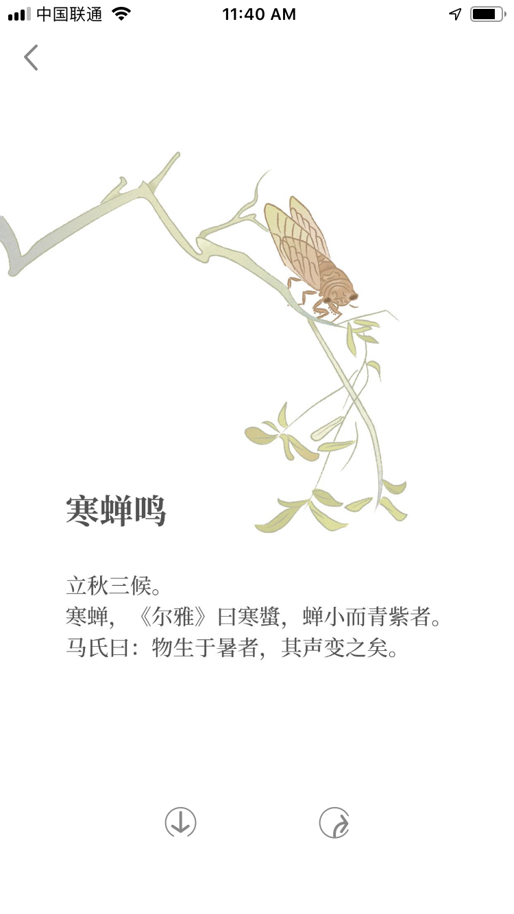 有期 YouQi Content 5