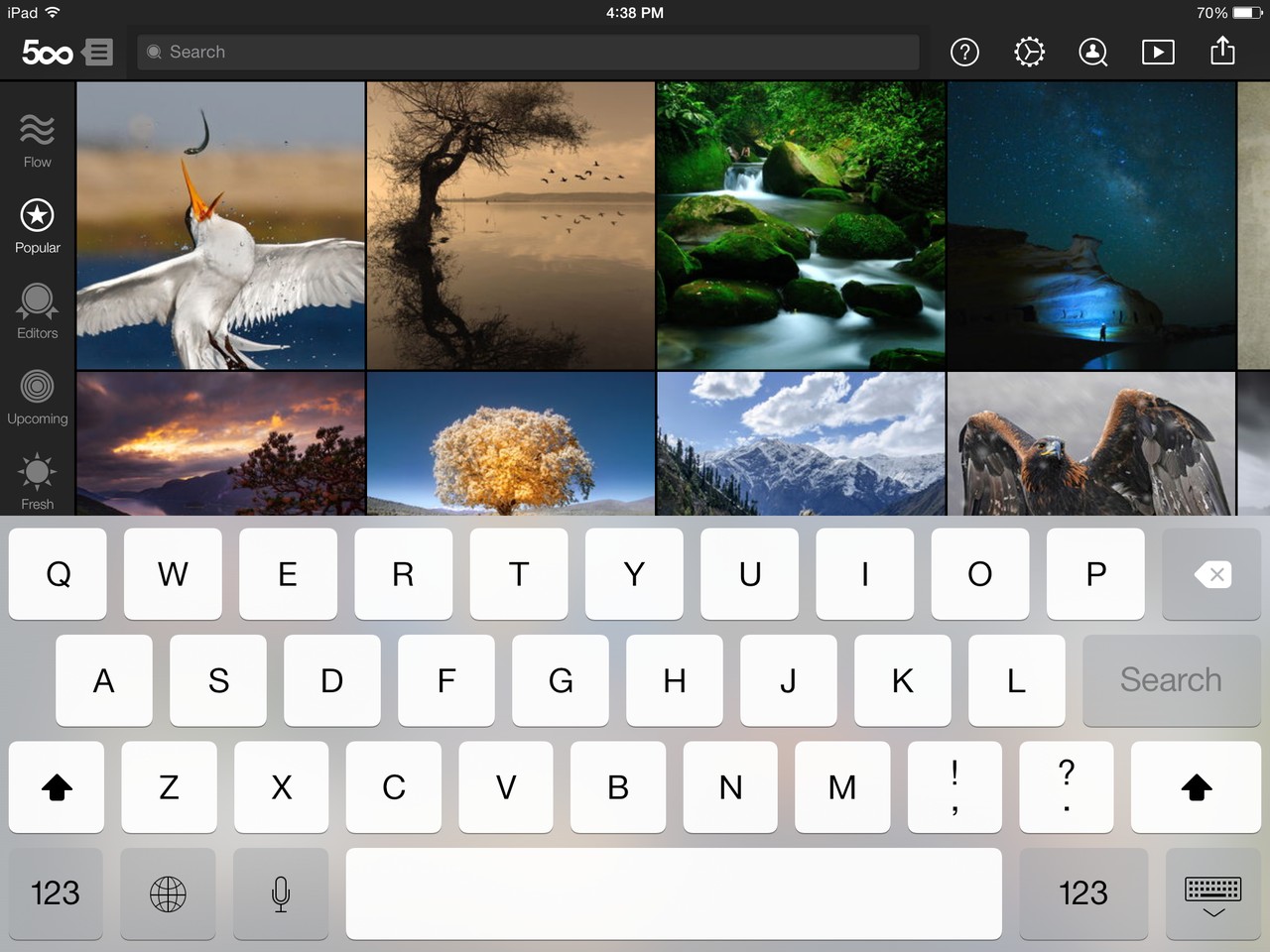 500px Search
