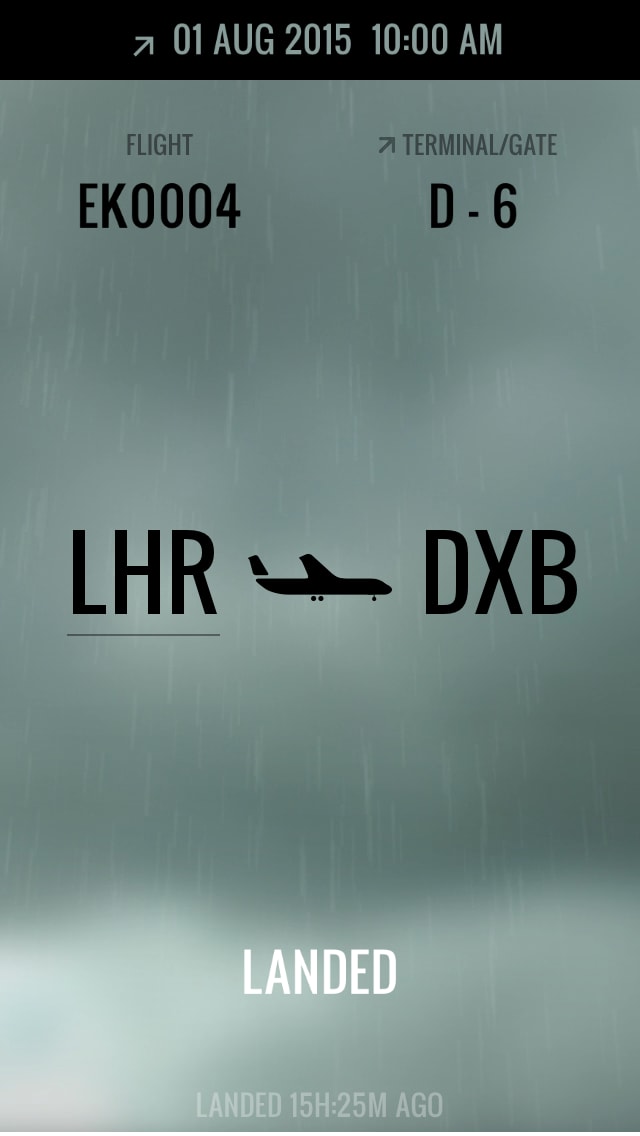 Flight Home 3