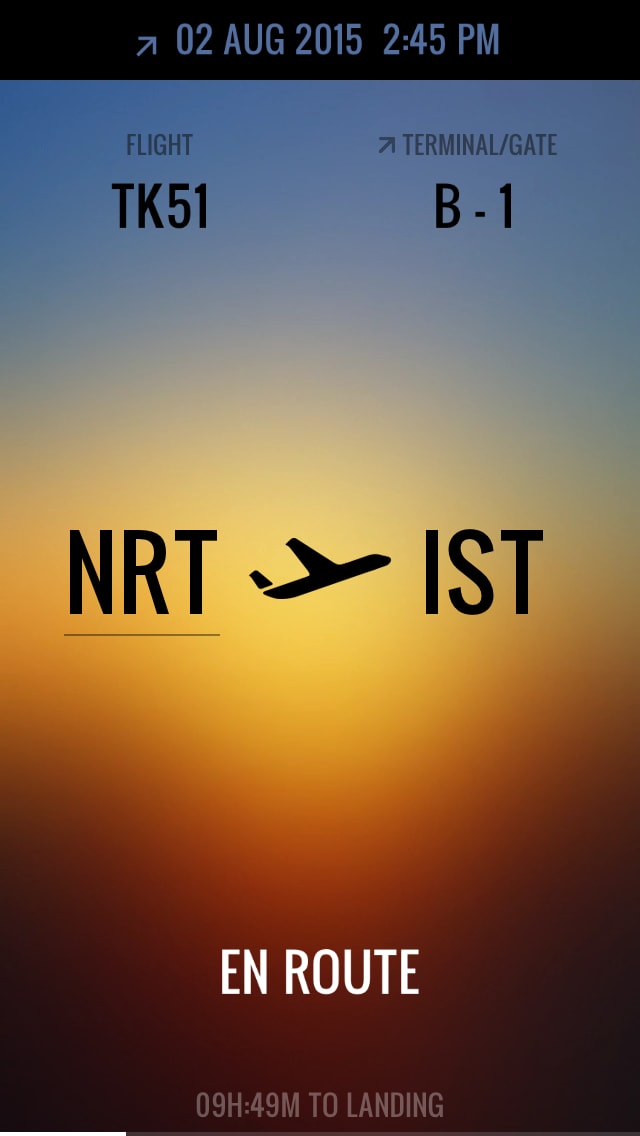 Flight Home