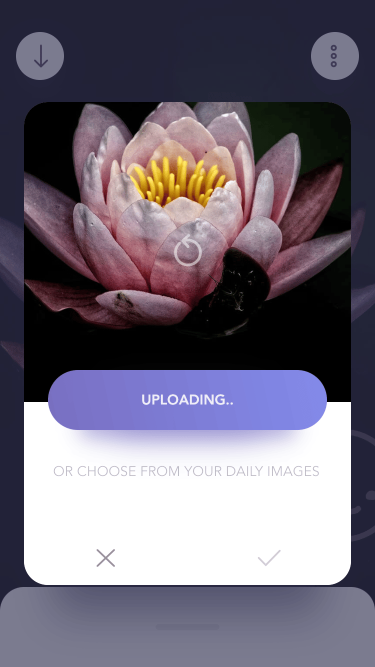 Reflectly Upload