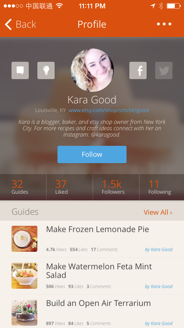 Snapguide Profiles