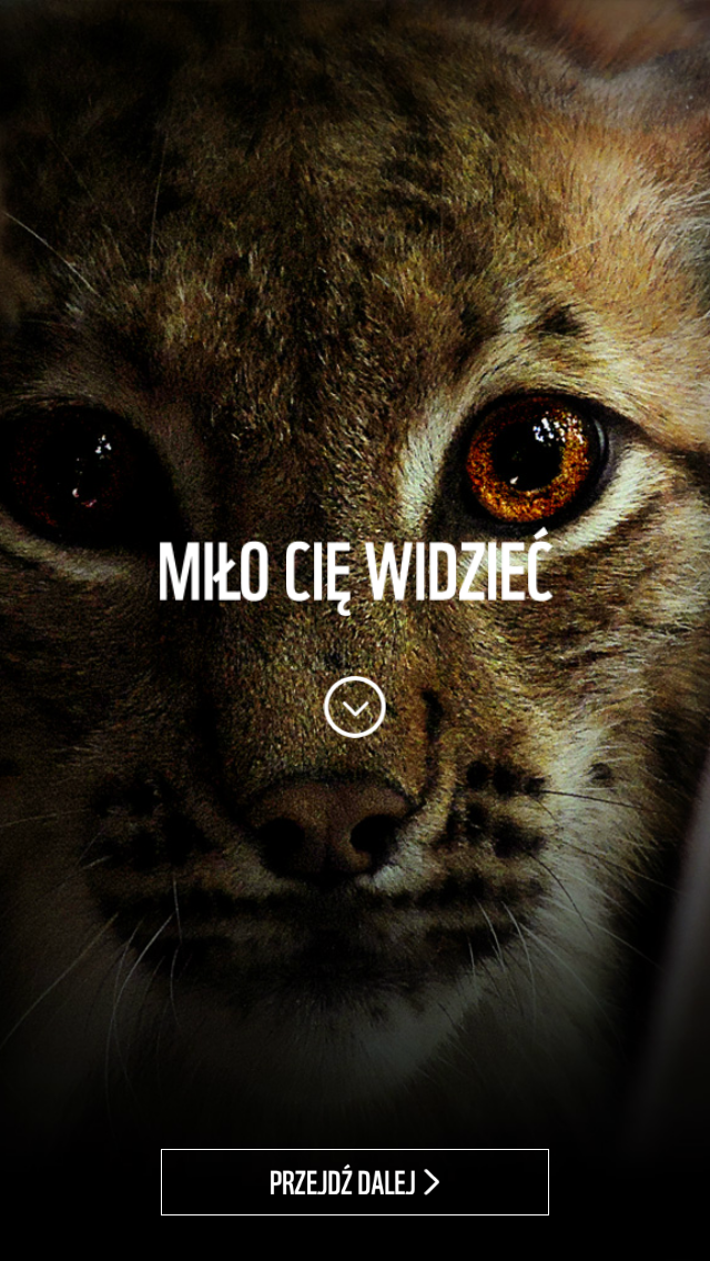 WWF Poradnik Splash