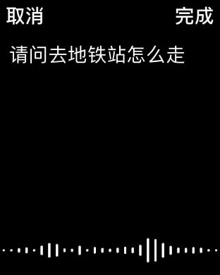 有道翻译官-107种语言翻译 Apple Watch screenshot 4