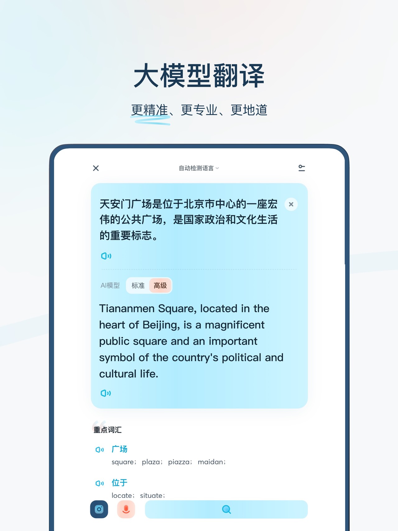 有道翻译官-107种语言翻译 iPad screenshot 2