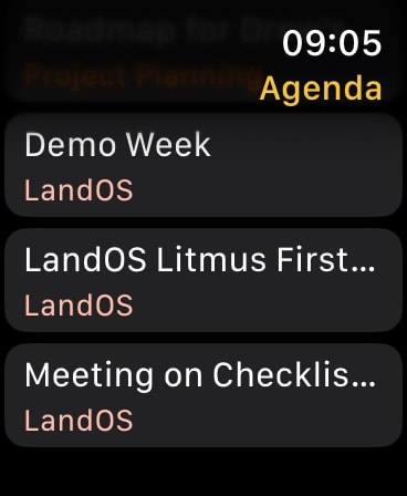 Agenda: Notes meets Calendar Apple Watch screenshot 5