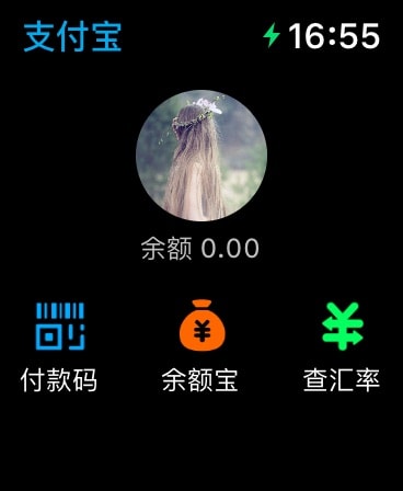 Alipay - Simplify Your Life Apple Watch screenshot 1