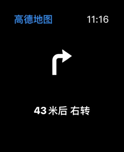 AMap Global Apple Watch screenshot 4