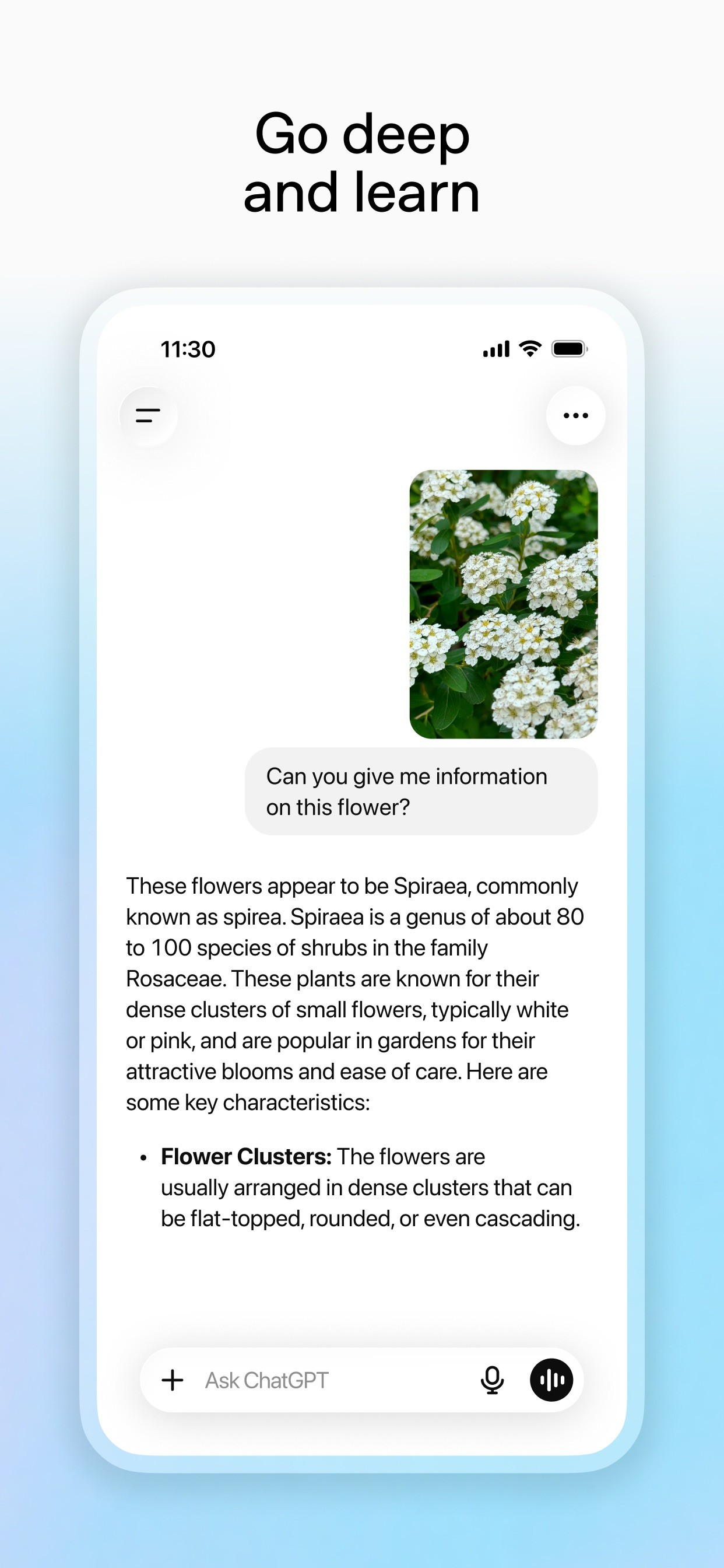 ChatGPT iPhone screenshot 6
