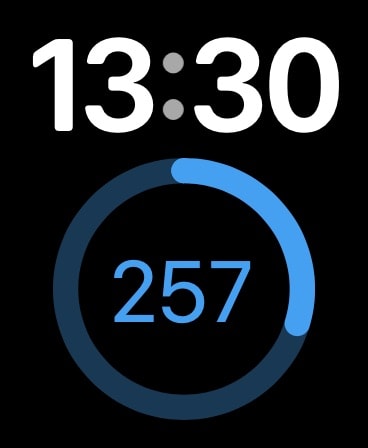 倒数日 · Days Matter Apple Watch screenshot 5