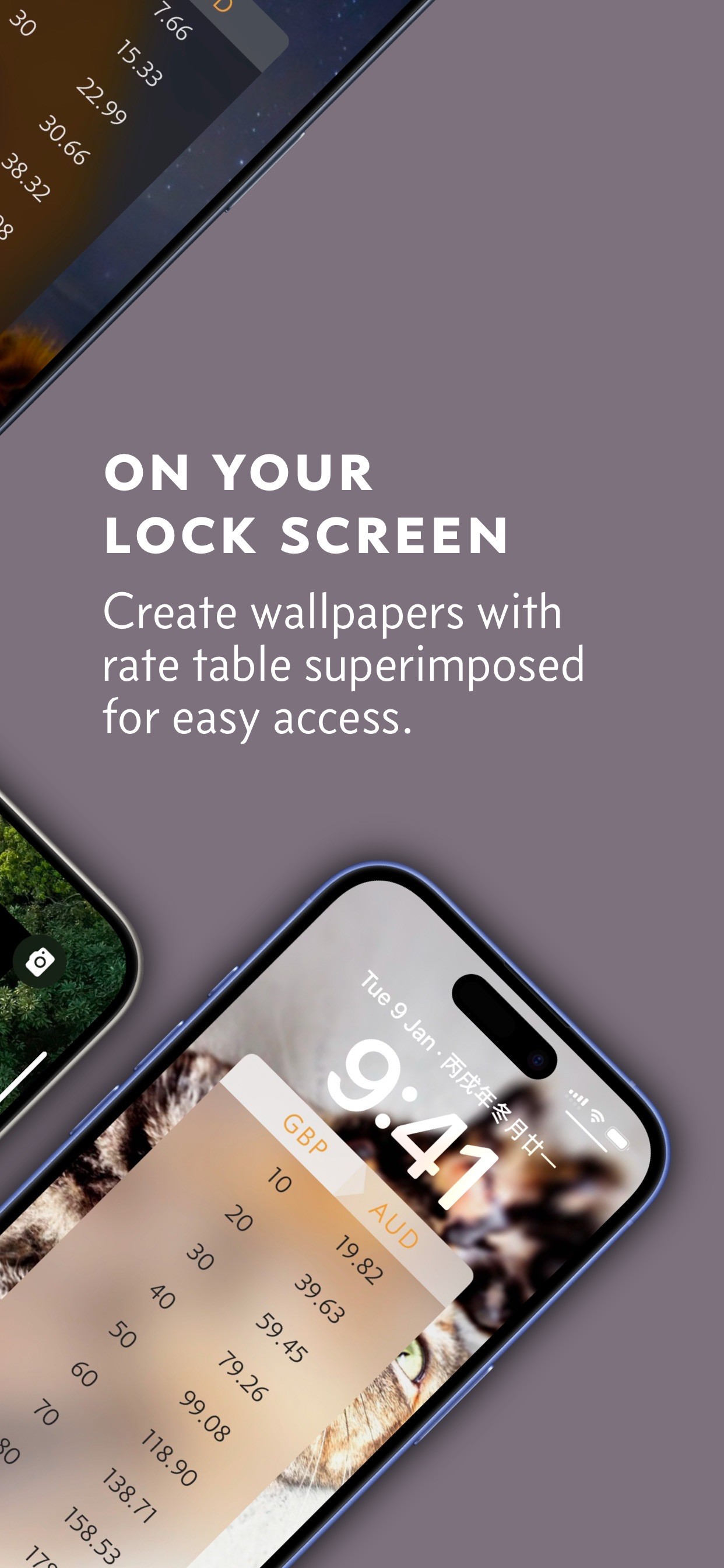 Elk Currency Converter iPhone screenshot 6