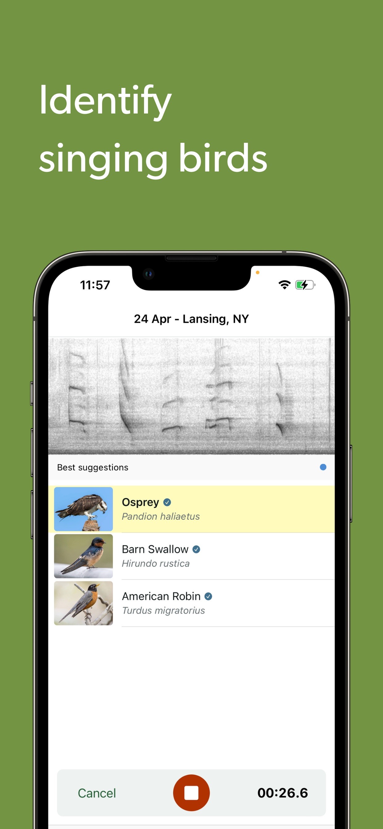 Merlin Bird ID by Cornell Lab iPhone screenshot 5