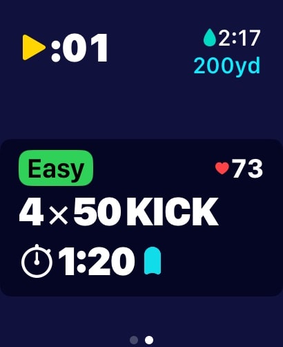 MySwimPro: #1 Swim Workout App Apple Watch screenshot 3
