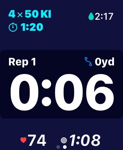 MySwimPro: #1 Swim Workout App Apple Watch screenshot 4
