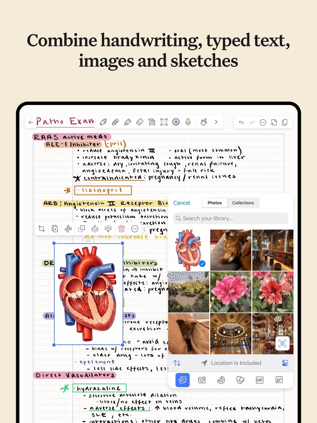 Notability: AI Notes & PDF app iPad screenshot 3