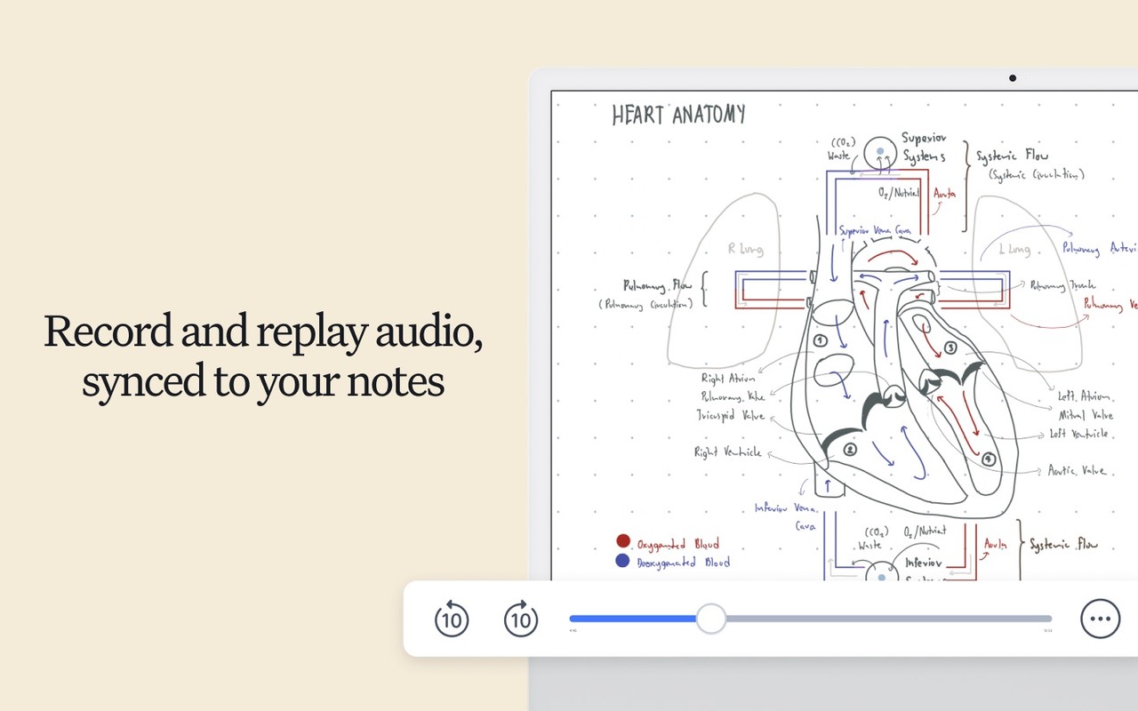Notability: AI Notes & PDF app Mac screenshot 2