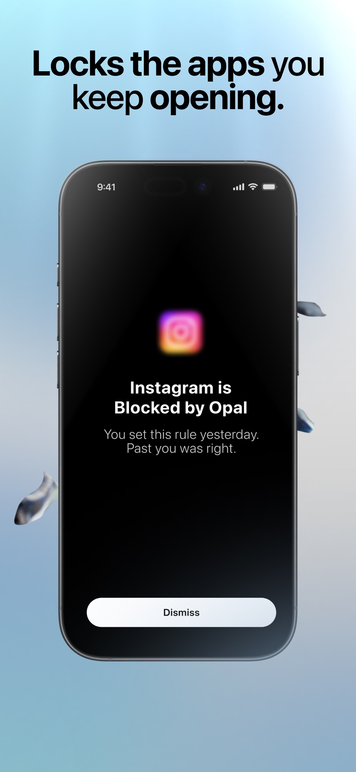 Opal: Screen Time Control iPhone screenshot 3