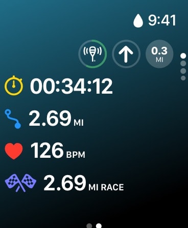 Paddle Logger: SUP & Kayaking Apple Watch screenshot 2