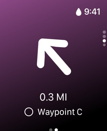 Paddle Logger: SUP & Kayaking Apple Watch screenshot 3