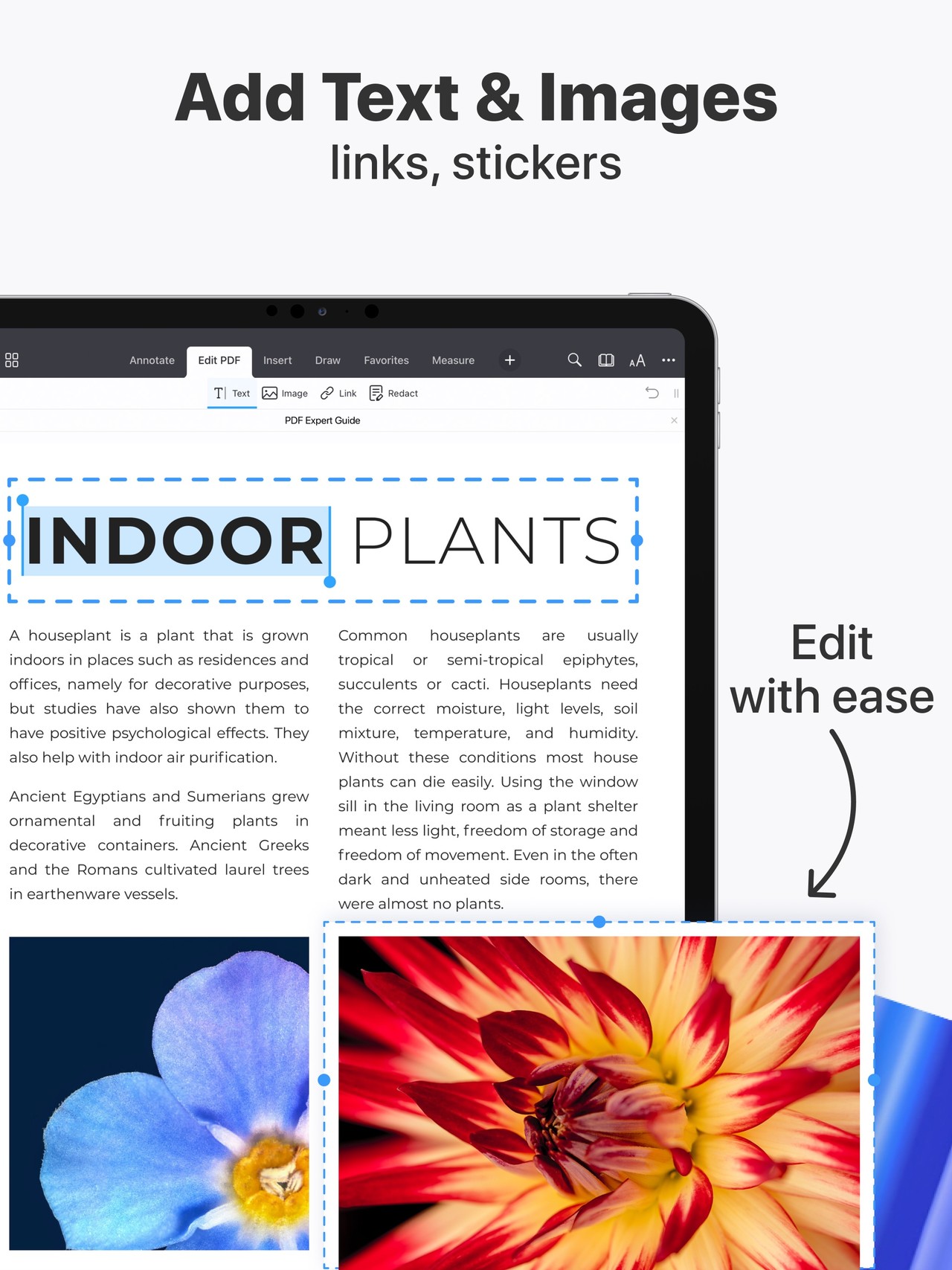 PDF Expert: Editor & Converter iPad screenshot 4