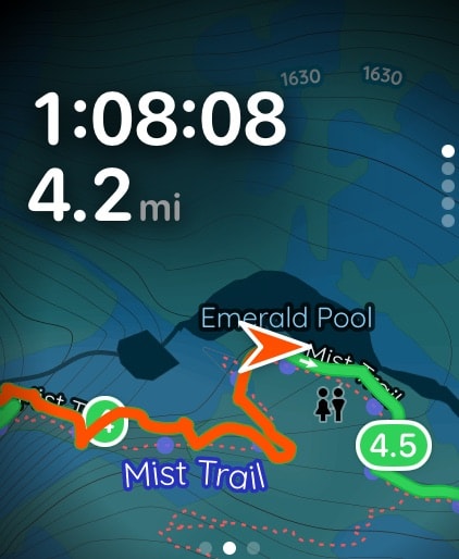 Pedometer++ Apple Watch screenshot 2