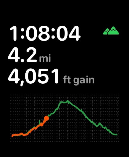 Pedometer++ Apple Watch screenshot 6