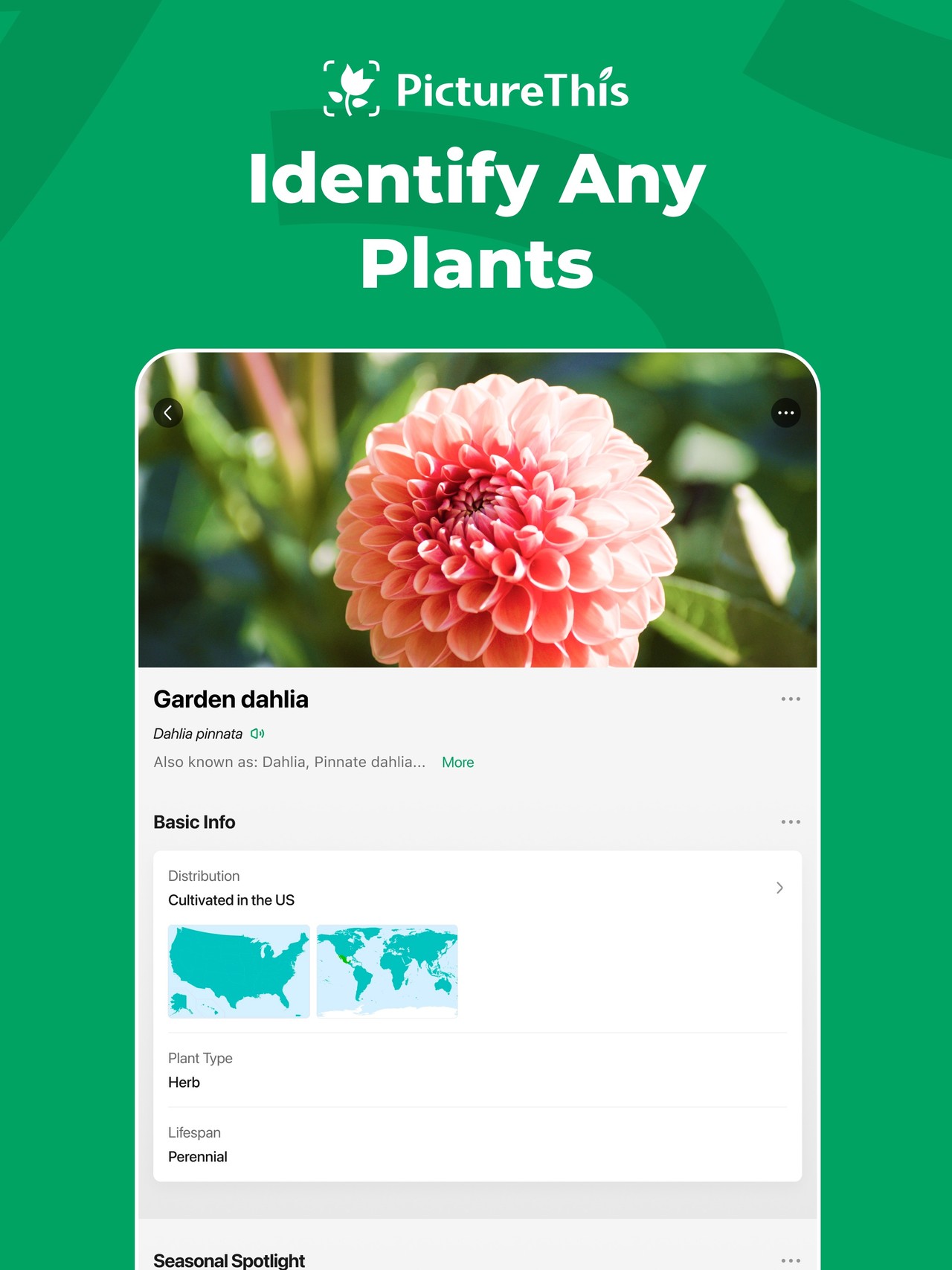 PictureThis - Plant Identifier iPad screenshot 1