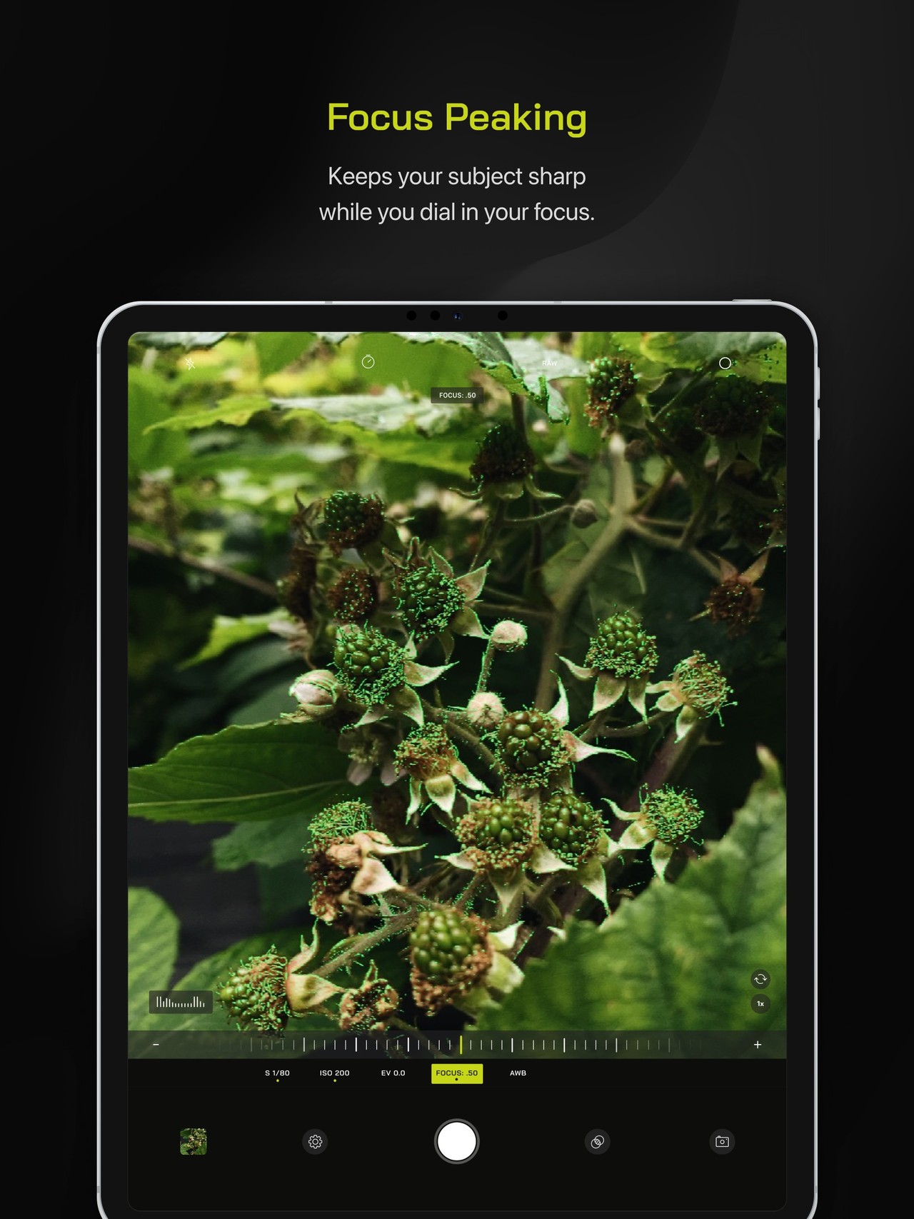 Pro Camera by Moment iPad screenshot 2