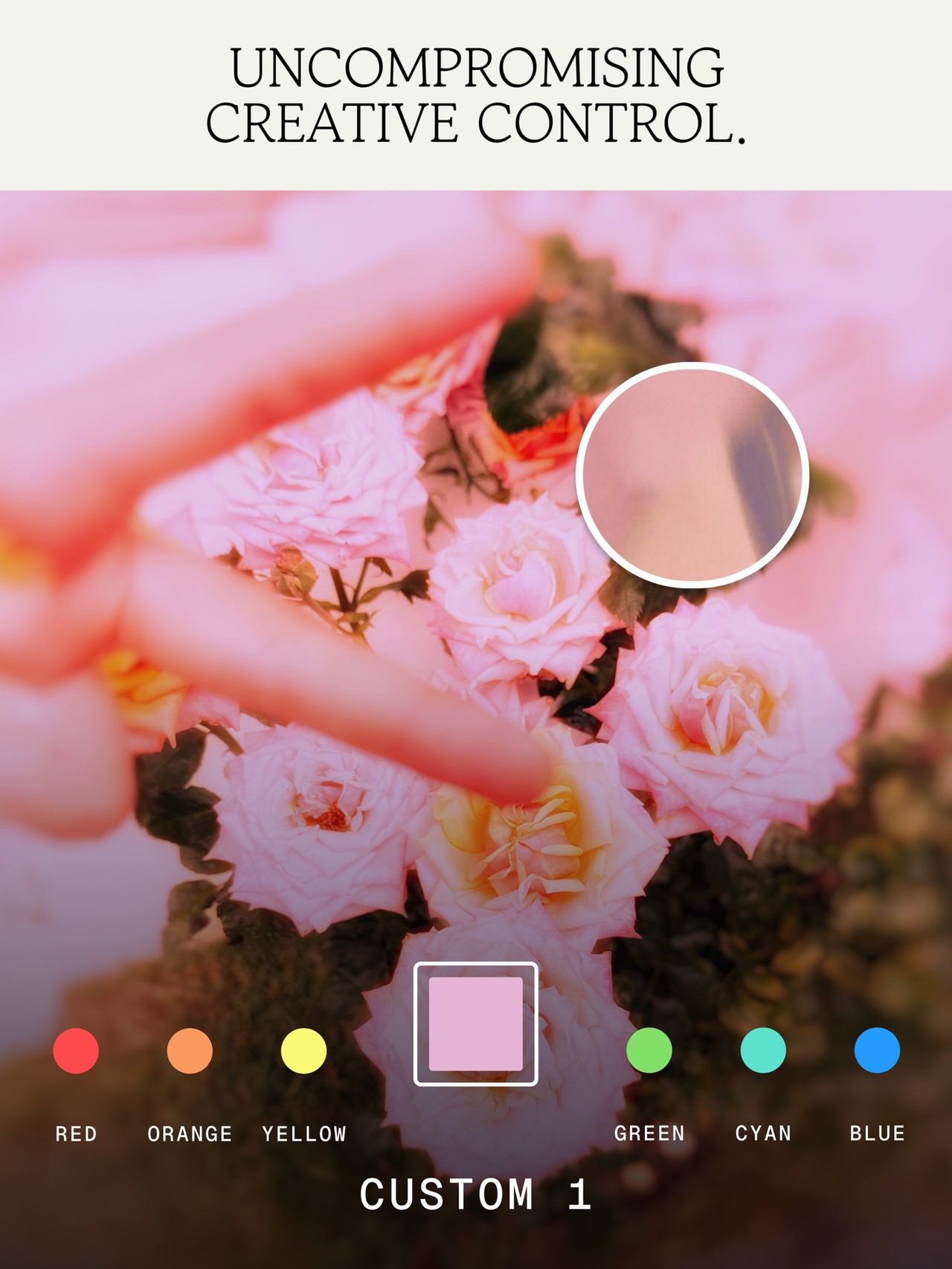 Snapseed: Photo Editor iPad screenshot 5