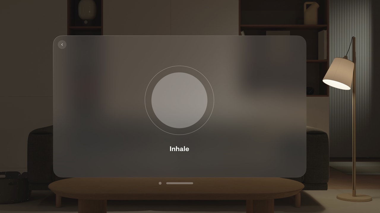stoic. journal & mental health Apple Vision screenshot 4