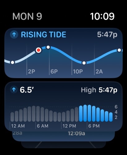 Tide Guide: Charts & Tables Apple Watch screenshot 6