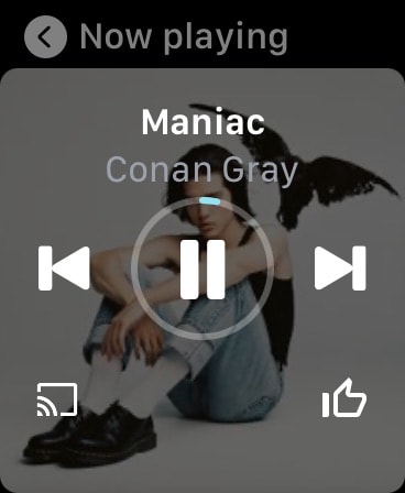 YouTube Music Apple Watch screenshot 2