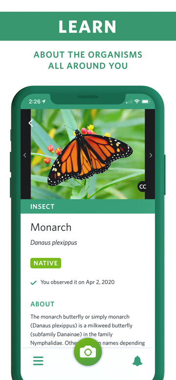 Seek by iNaturalist app screenshot 3