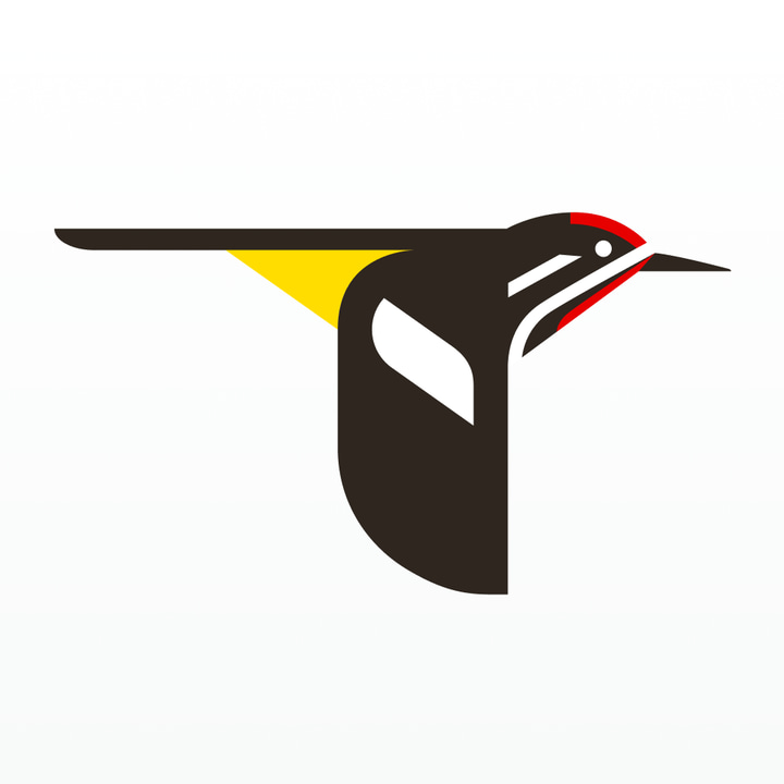 Merlin Bird ID by Cornell Lab app icon
