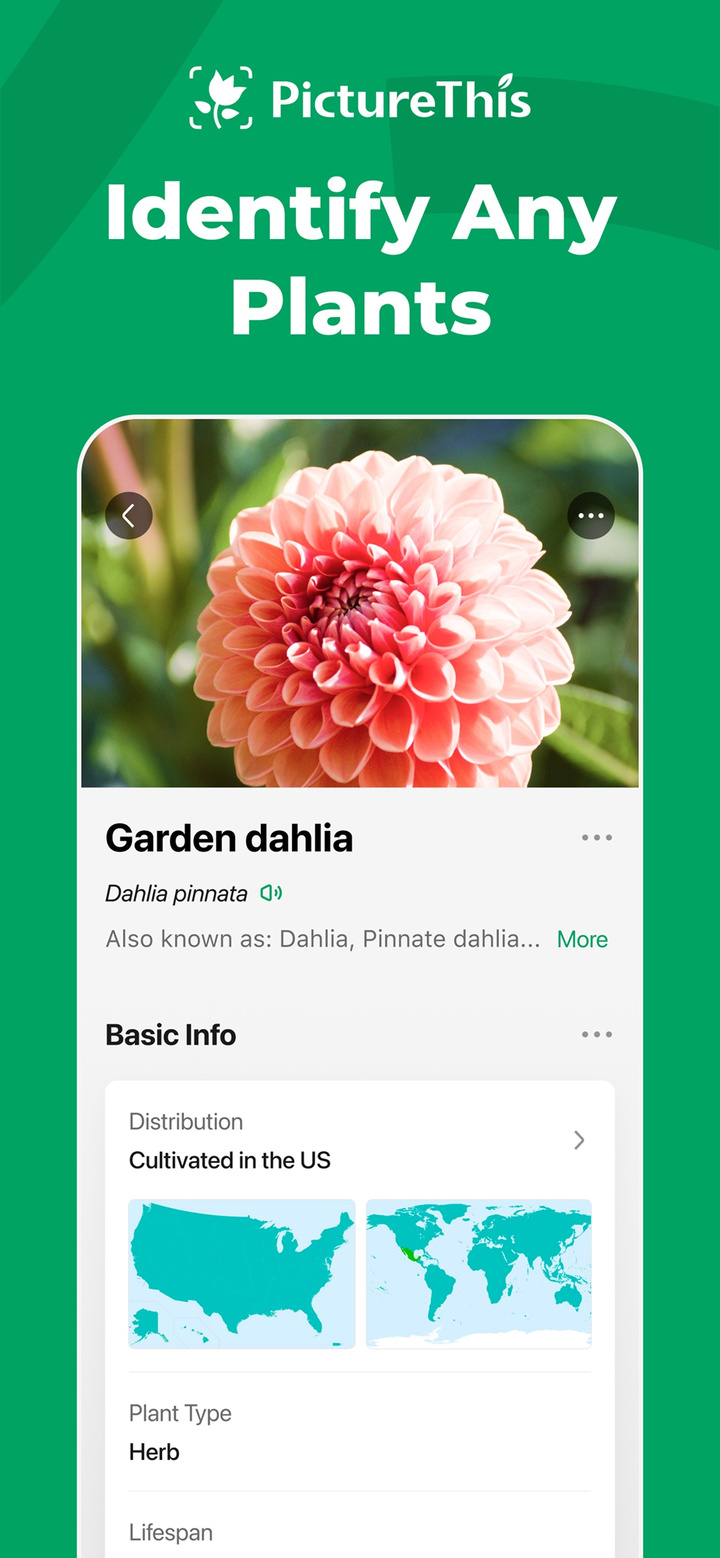 PictureThis - Plant Identifier app screenshot