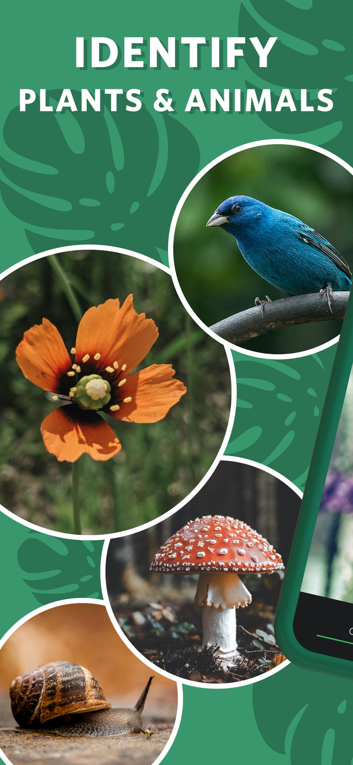 Seek by iNaturalist app screenshot
