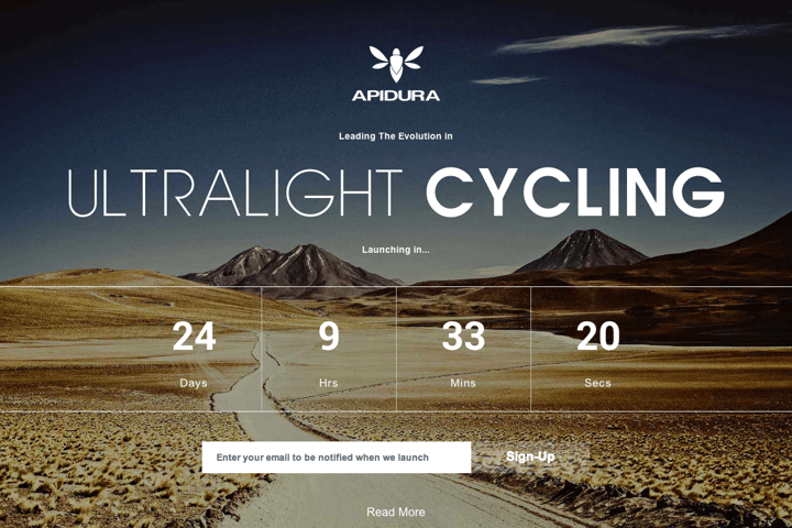 Apidura