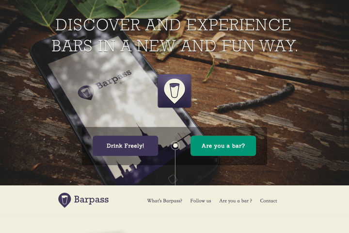 Barpass website preview