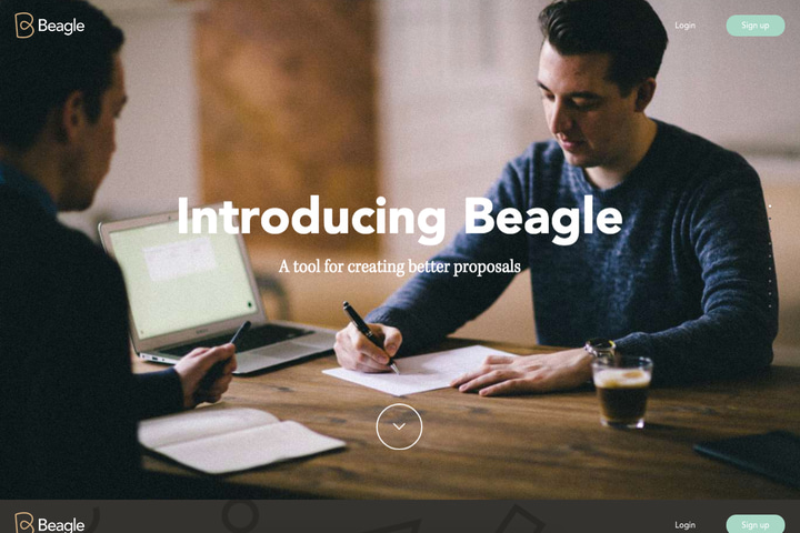 Beagle website preview
