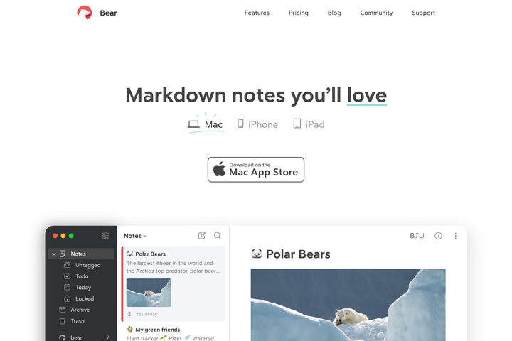Bear website preview