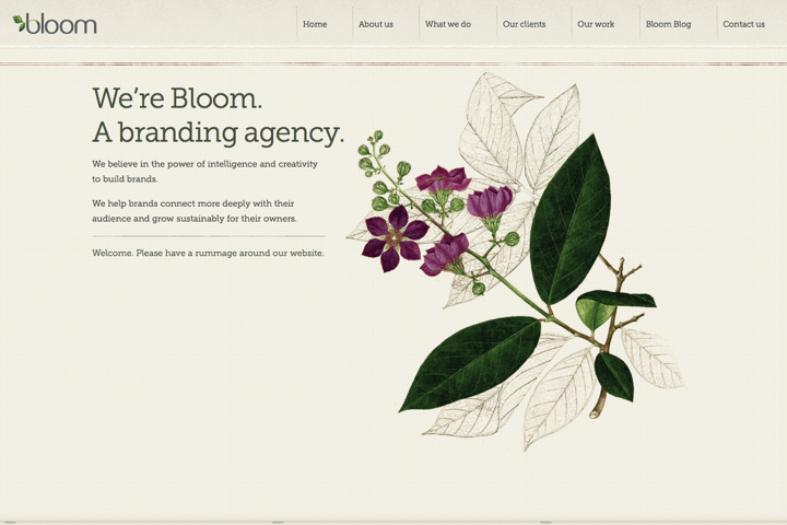 Bloom website preview