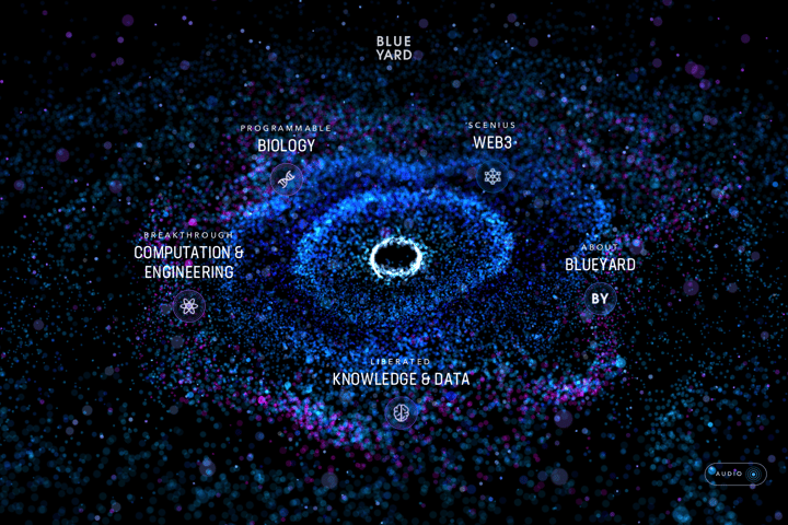 BlueYard website preview