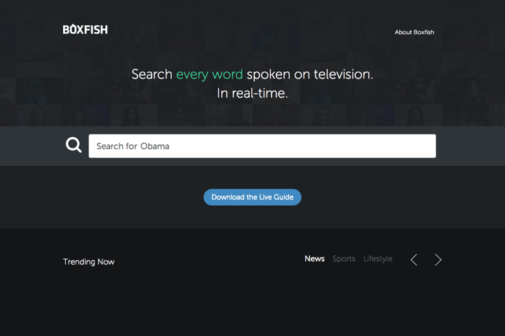 Boxfish